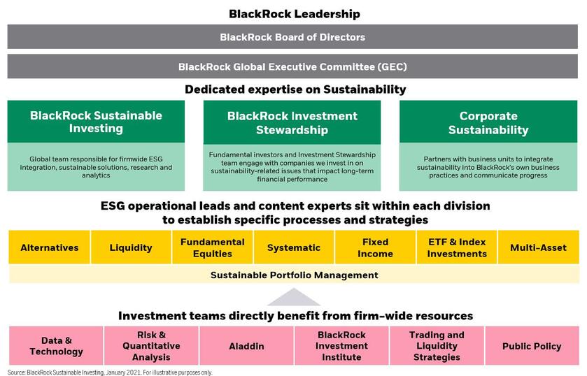 ESG Questionnaire Response - BlackRock Inc. | Investment Services